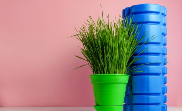 Как развить гибкость и улучшить осанку с МФР Как развить гибкость и улучшить осанку с МФР