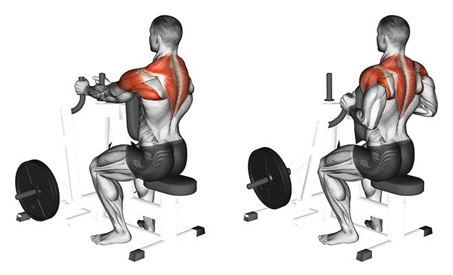 Упражнения на ширину спины: виды, пошаговая инструкция выполнения, регулярность занятий и результат