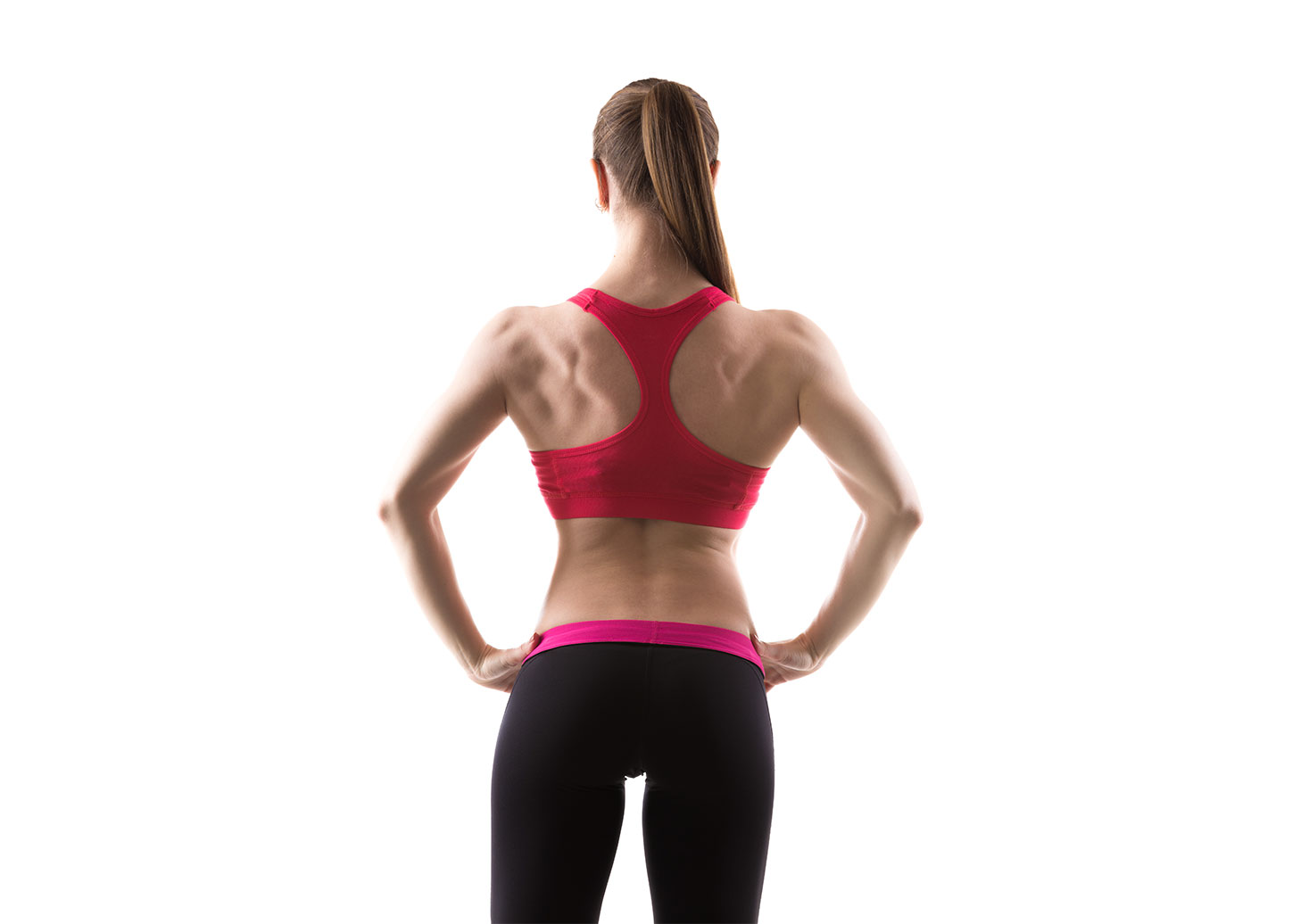 Самые эффективные упражнения для мышц спины с гантелями