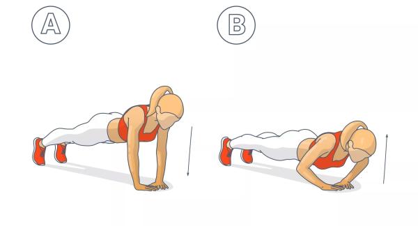 Алмазные отжимания: как правильно выполнять, какие мышцы задействованы Алмазные отжимания: как правильно выполнять, какие мышцы задействованы