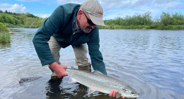 Семга или форель: что выбрать при похудении Семга или форель: что выбрать при похудении