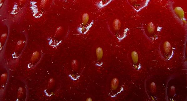 Польза клубники для здоровья и 12 рецептов для снижения веса с КБЖУ Польза клубники для здоровья и 12 рецептов для снижения веса с КБЖУ