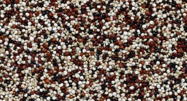 Польза клубники для здоровья и 12 рецептов для снижения веса с КБЖУ Польза клубники для здоровья и 12 рецептов для снижения веса с КБЖУ