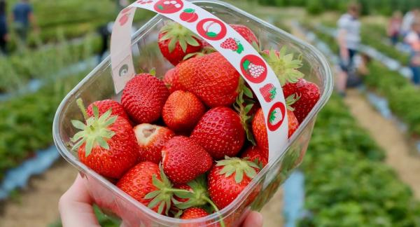 Польза клубники для здоровья и 12 рецептов для снижения веса с КБЖУ Польза клубники для здоровья и 12 рецептов для снижения веса с КБЖУ