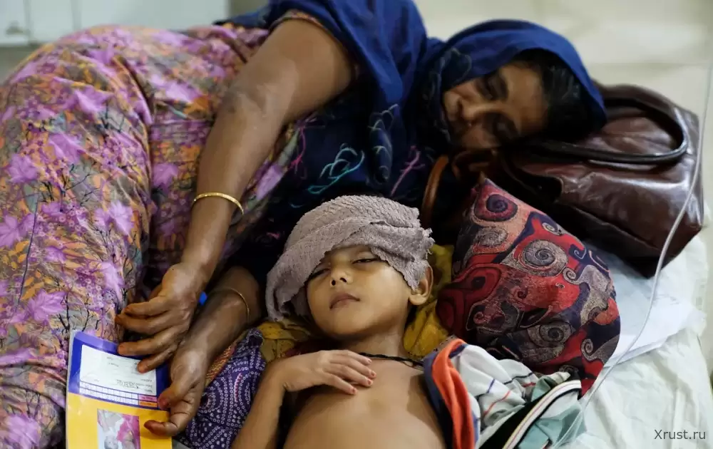 Лихорадки денге свирепствует в Бангладеш – от заразы умерло более 100 человек Лихорадки денге свирепствует в Бангладеш – от заразы умерло более 100 человек