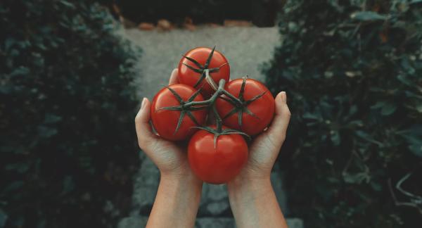 Здоровое питание: чем полезен помидор и ПП-рецепты с ним для похудения Здоровое питание: чем полезен помидор и ПП-рецепты с ним для похудения
