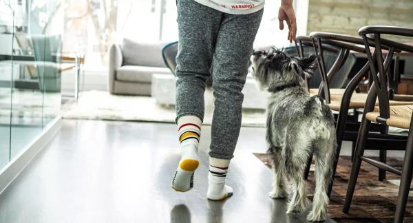 Ходьба спиной вперед: как и зачем практиковать Ходьба спиной вперед: как и зачем практиковать