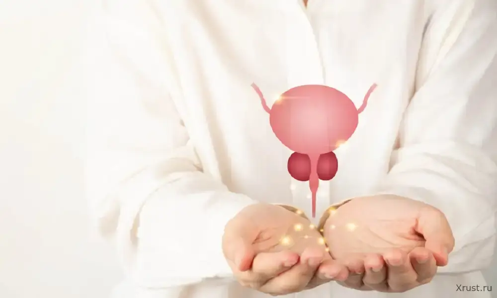 Рак простаты ранней стадии – большинство мужчин не знают важных признаков Рак простаты ранней стадии – большинство мужчин не знают важных признаков