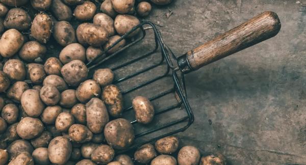 Картошка при похудении: чем полезна для фигуры и что с ней приготовить Картошка при похудении: чем полезна для фигуры и что с ней приготовить