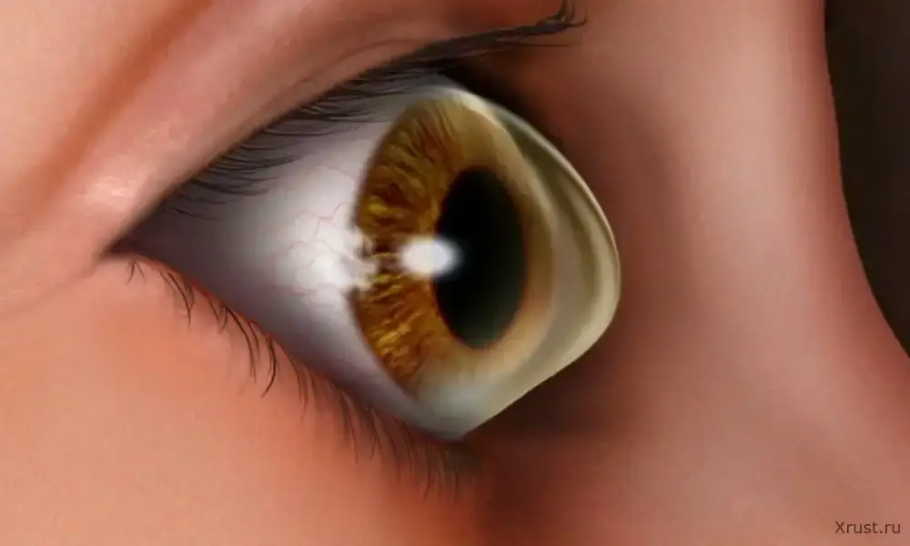 Препарат от истончения роговицы одобрен в США Препарат от истончения роговицы одобрен в США