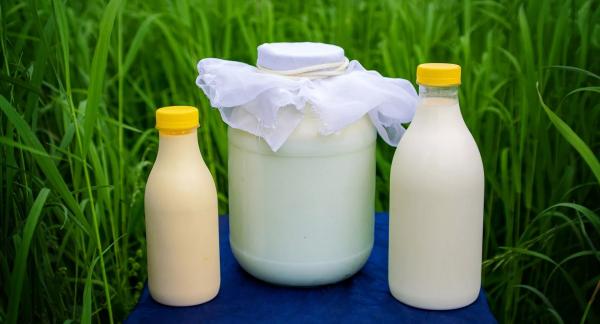 Молоко при похудении: в чем польза и какие есть ограничения Молоко при похудении: в чем польза и какие есть ограничения