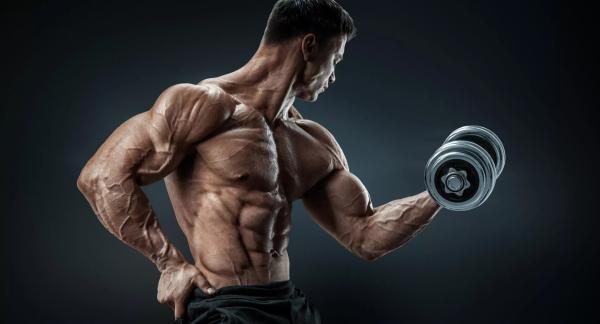 Как накачать бицепс: программа и видео упражнений Как накачать бицепс: программа и видео упражнений